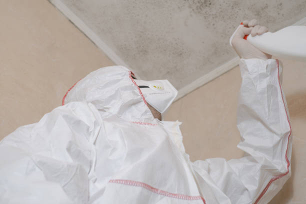 Best Professional Mold Removal  in Three Oaks, FL